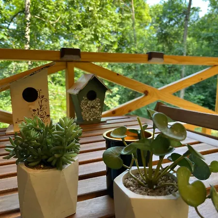 Brvnara Vrganj 度假居