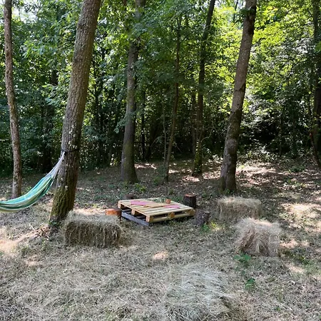 Brvnara Vrganj * Sarani