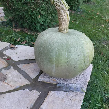 펜션 Brvnara Vrganj