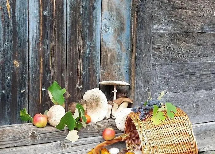 Brvnara Vrganj * Sarani