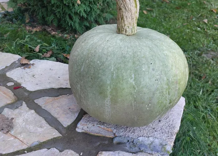 Ferienhaus Brvnara Vrganj